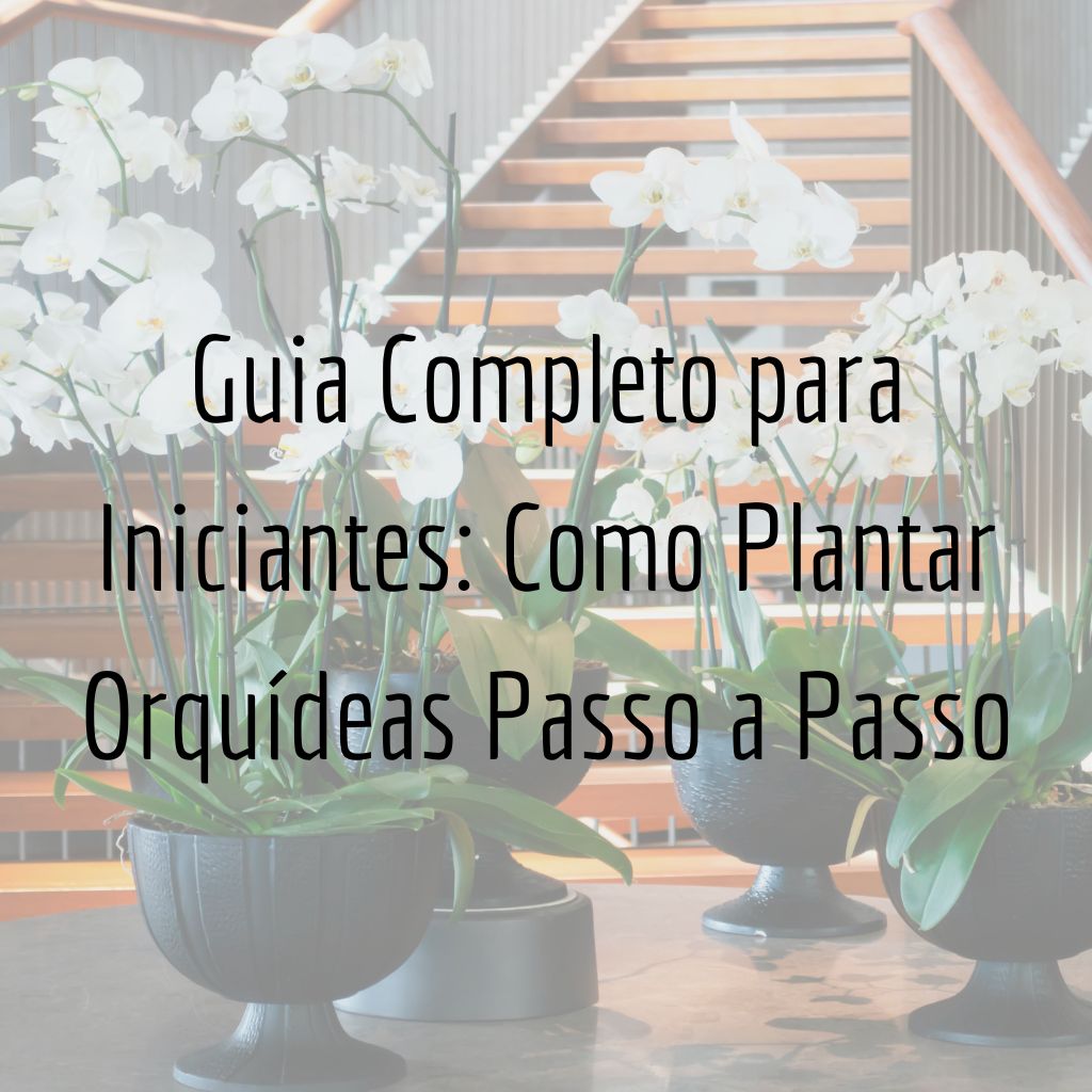 Guia Completo para Iniciantes: Como Plantar Orquídeas Passo a Passo
