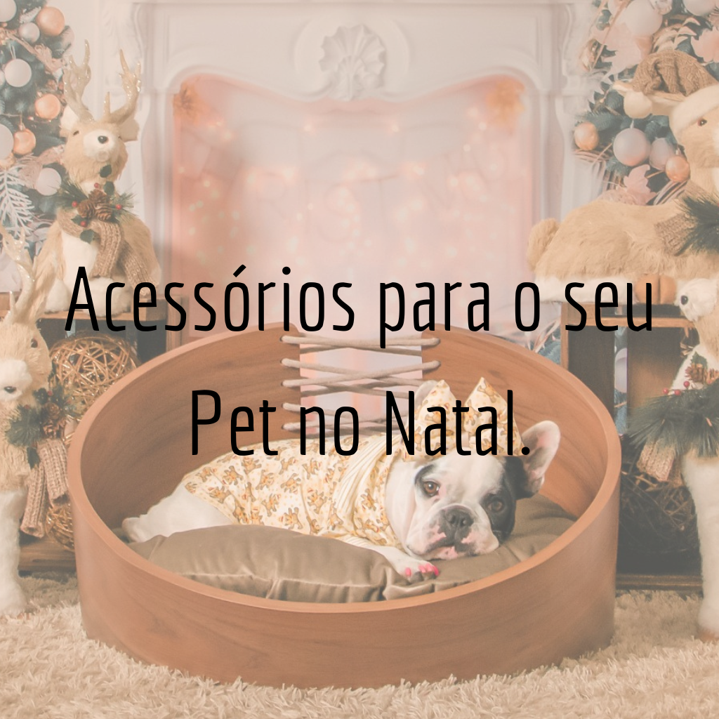 Acessórios para o seu pet no Natal