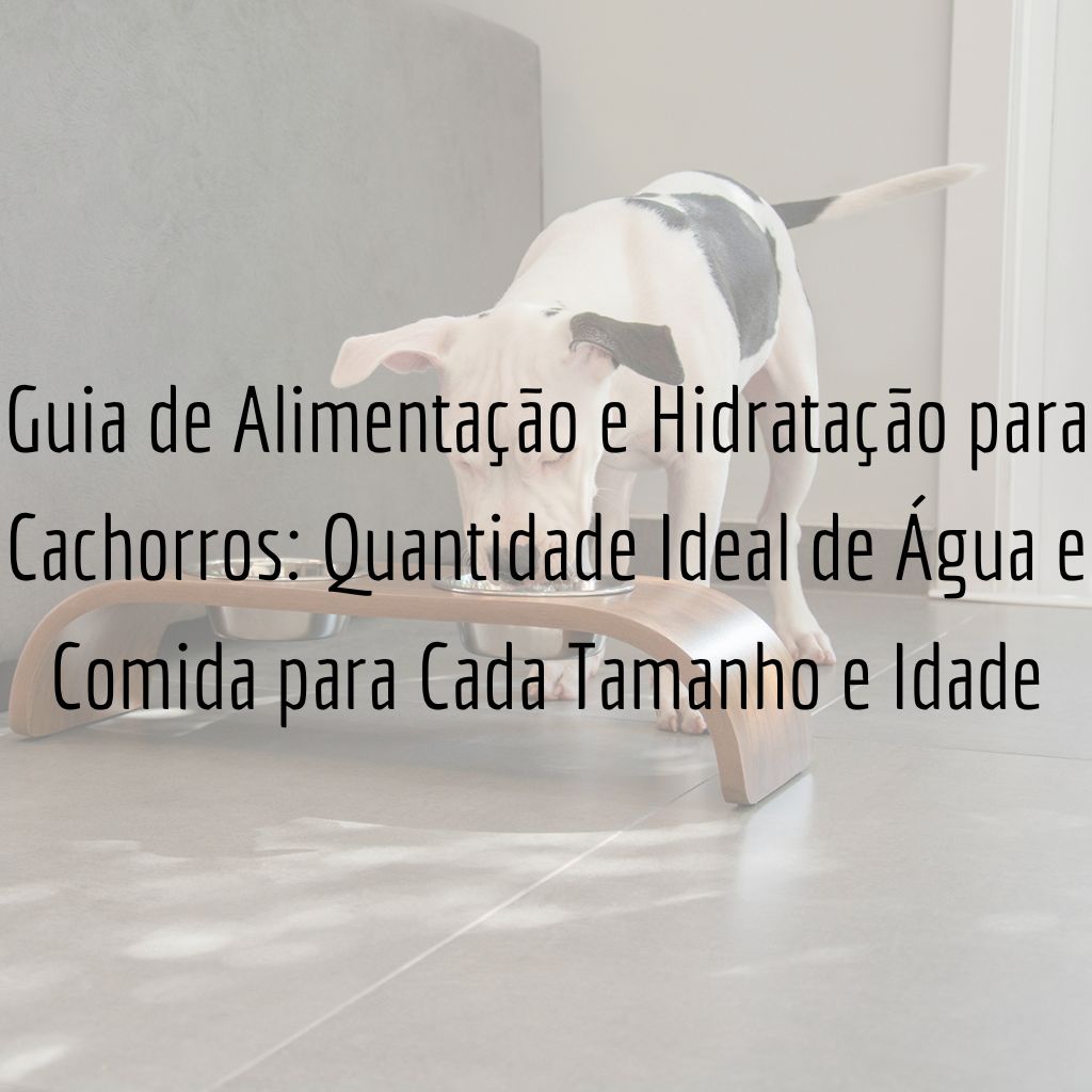 Guia de Alimentação e Hidratação para Cachorros: Quantidade Ideal de Água e Comida para Cada Tamanho e Idade