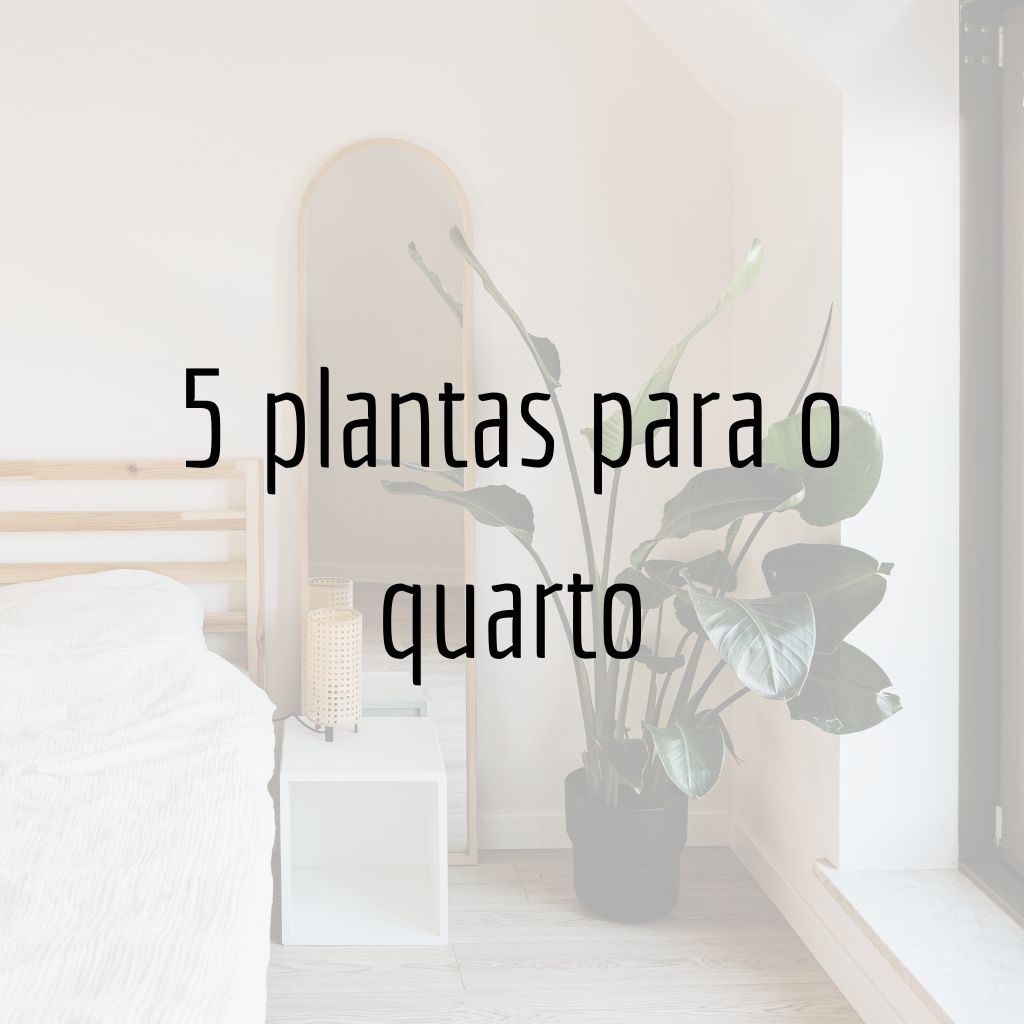 5 plantas para o quarto