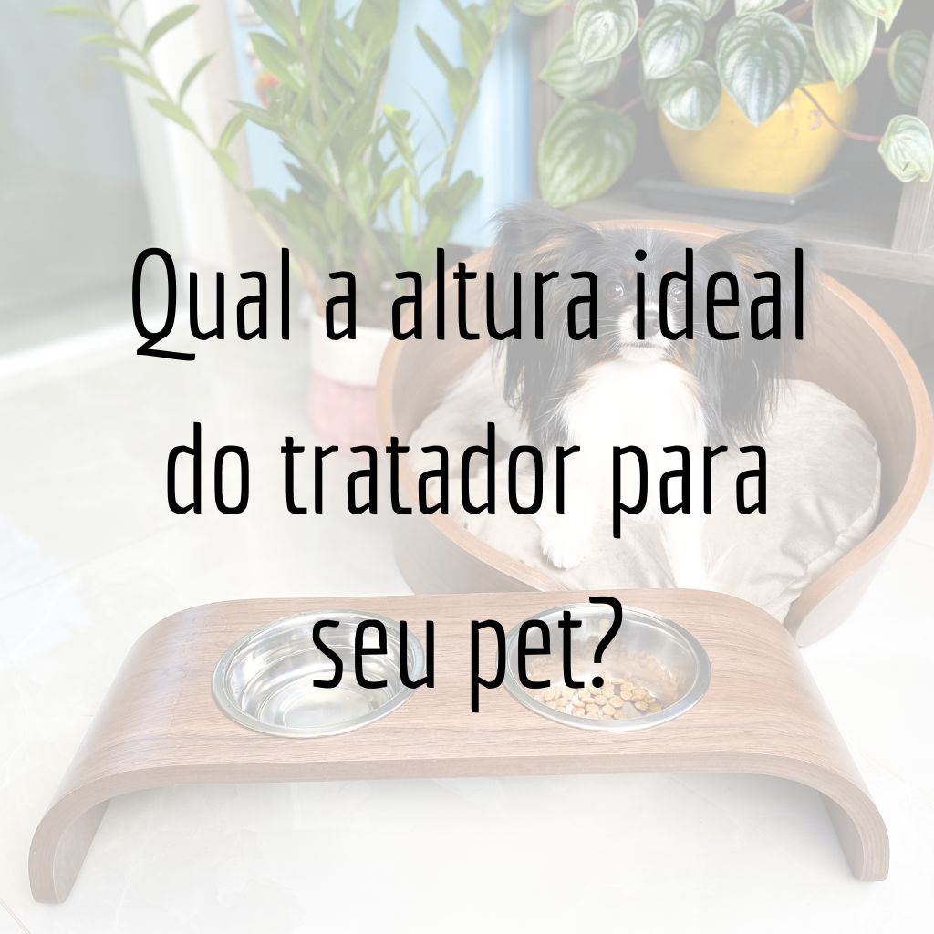 Qual a altura ideal do tratador para seu pet?