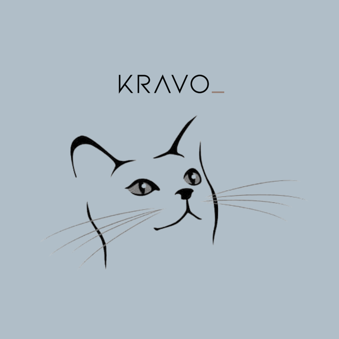 10 Dicas para nomear o seu Gato