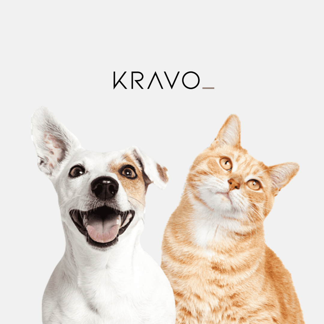 Dicas de Com Evitar Pulgas e Carrapatos em Pets