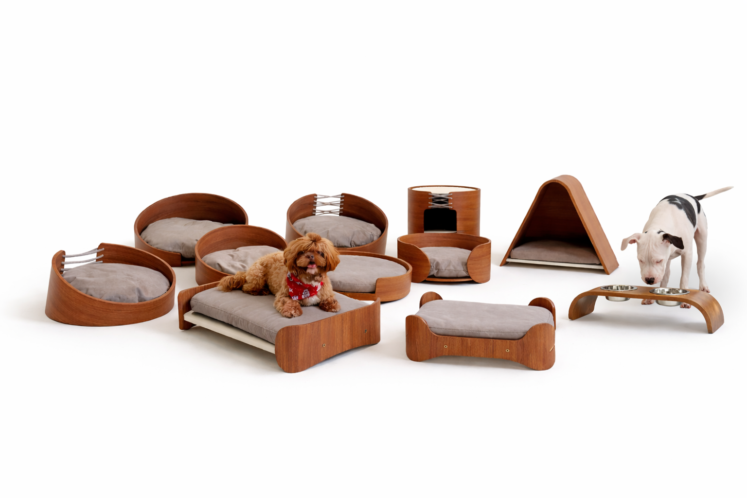 pequeno porte, cachorro, gato, pet, cama, cama pet