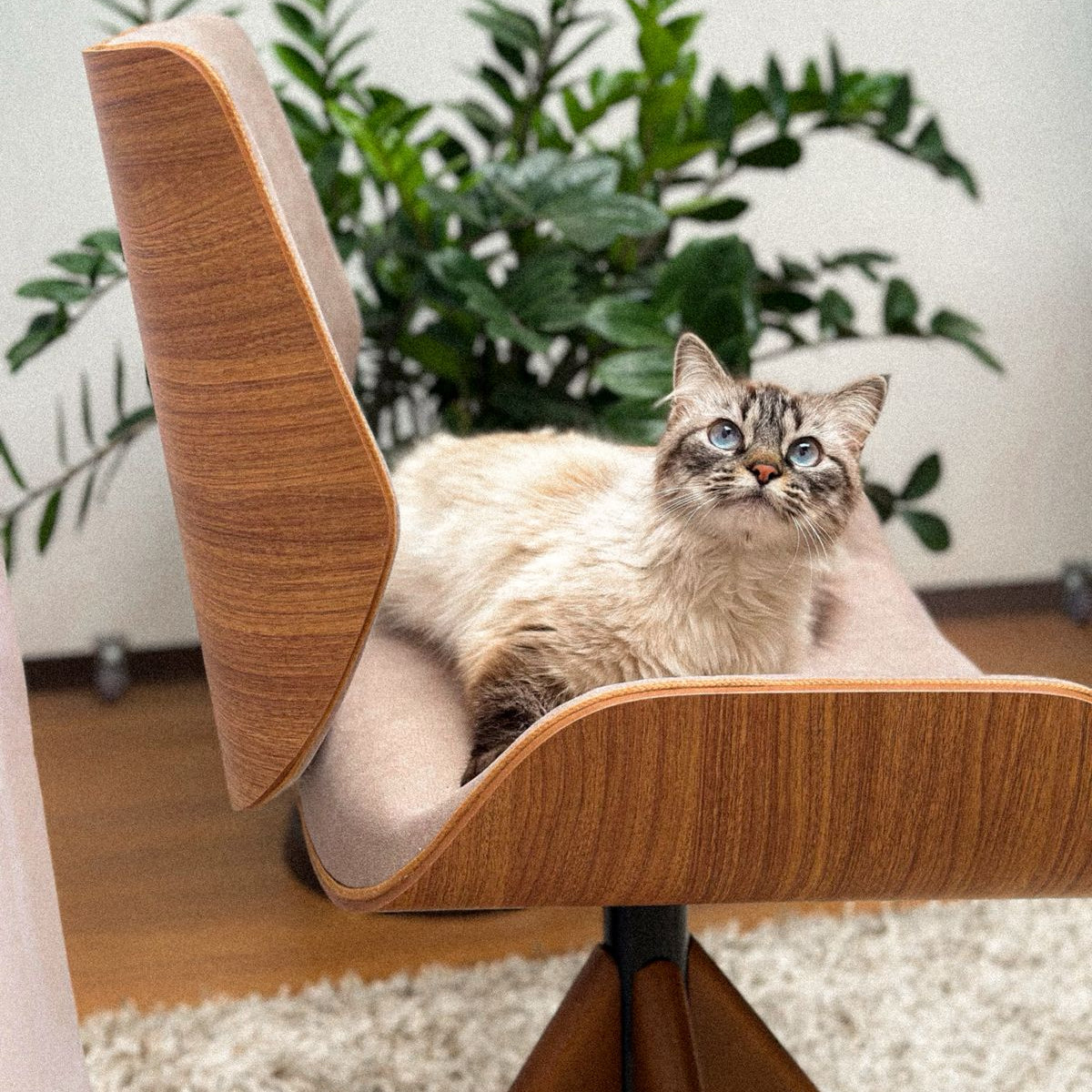 Cadeira de Jantar / Escritório Giratória Heloísa Cor Freijó Tecido Pet Friendly