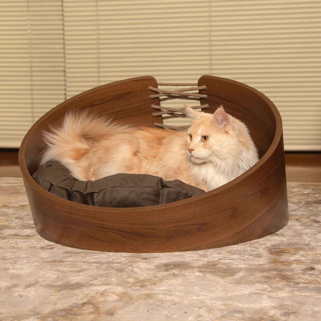 cama pet médio porte cor nogueira hades veludo claro, com um gato de exemplo