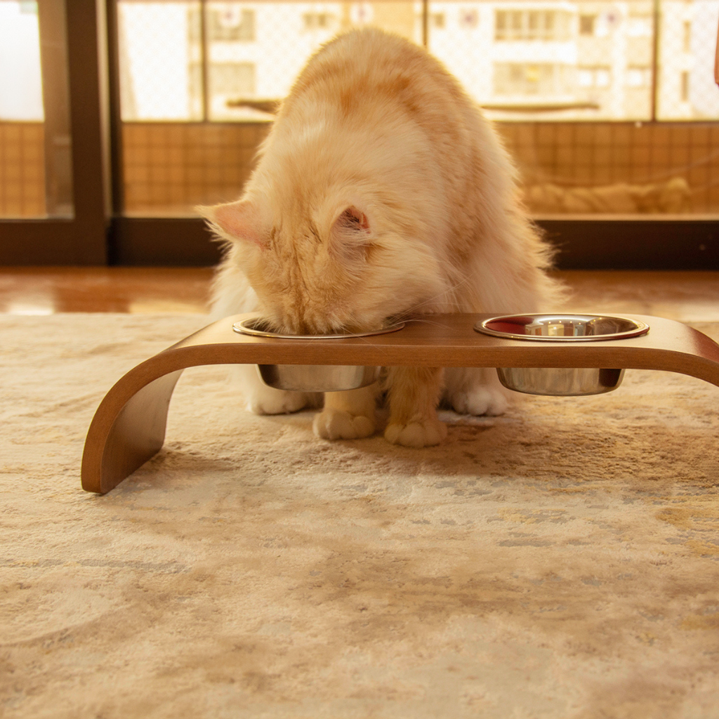 Tratador Pet Teseu Pequeno, retratando como ficara em sua casa e com um gato de exemplo