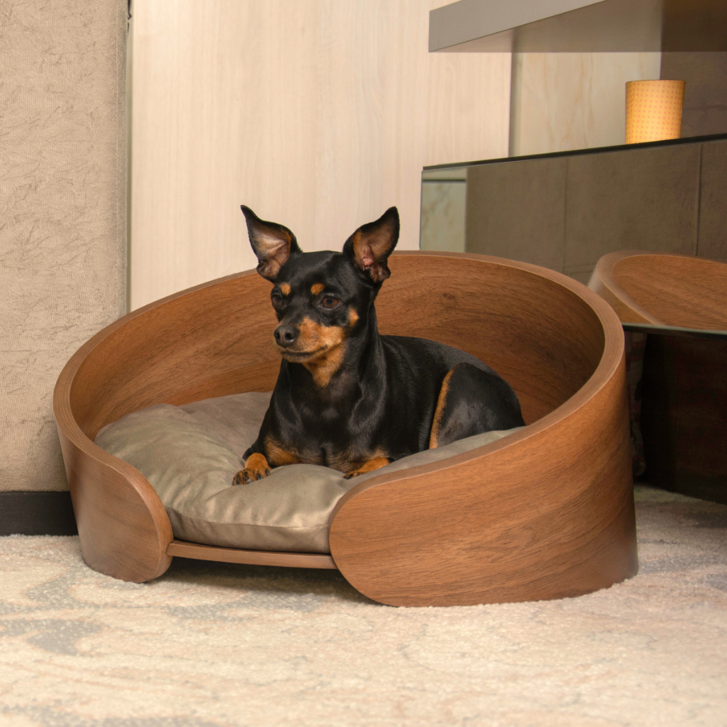 cama pet pequeno porte cor nogueira eros veludo claro, com um cachorro de exemplo