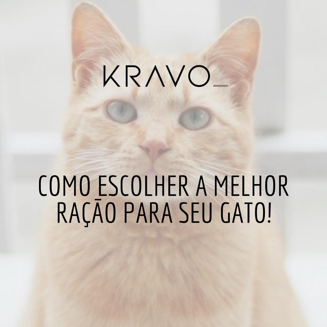 Dicas de como escolher a melhor ração para seu gato!