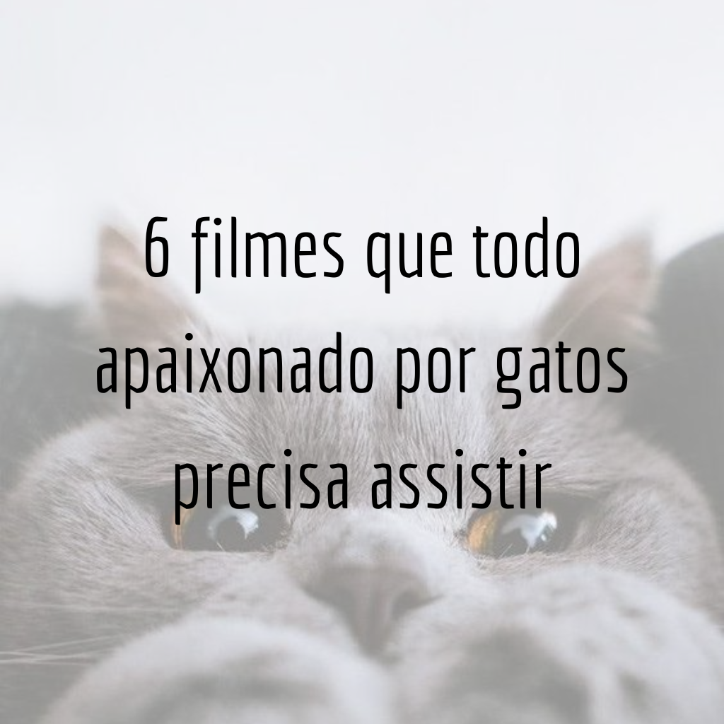 6 filmes que todo apaixonado por gatos precisa assistir