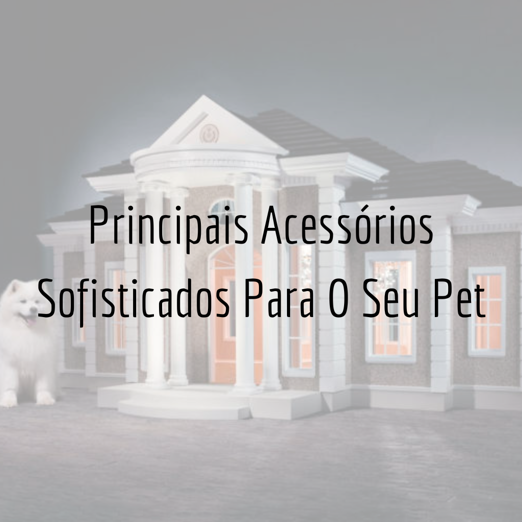 Principais Acessórios Sofisticados Para O Seu Pet