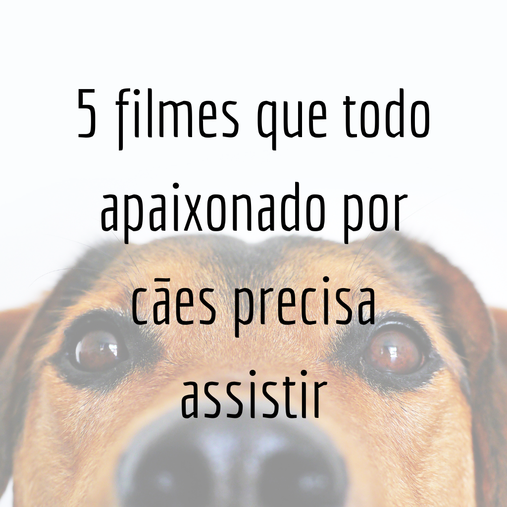 5 filmes que todo apaixonado por cães precisa assistir