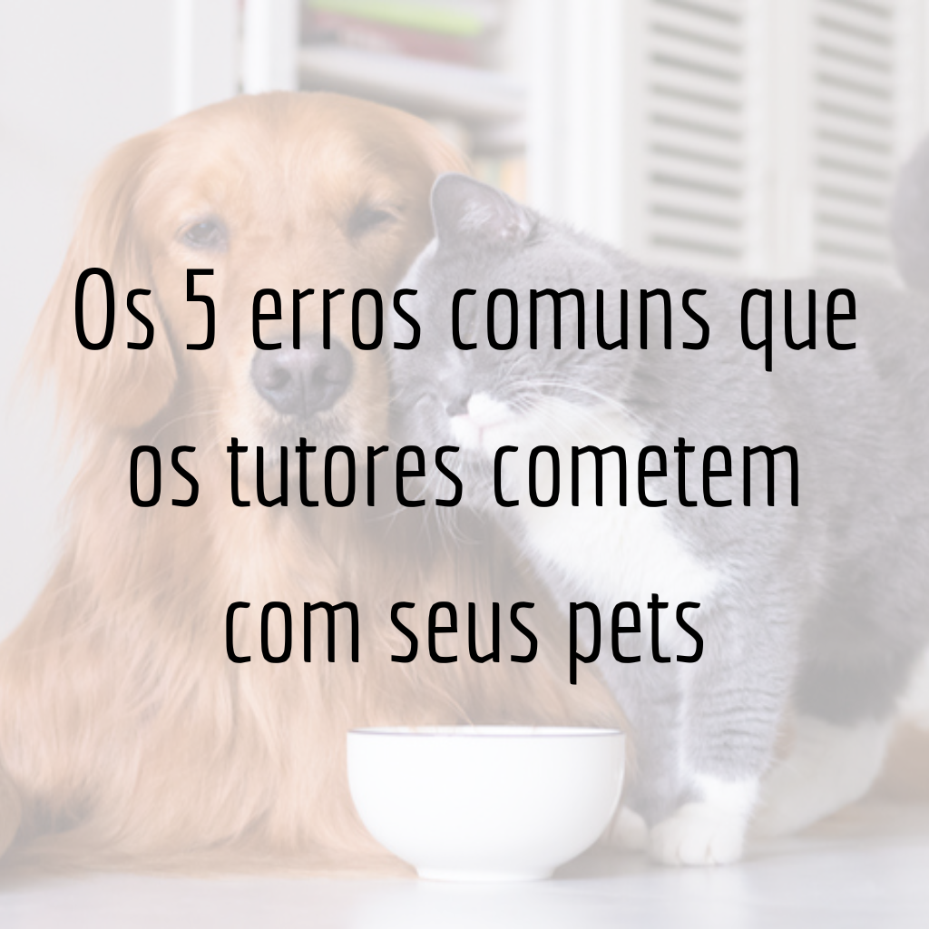 Os 5 erros comuns que os tutores cometem com seus pets