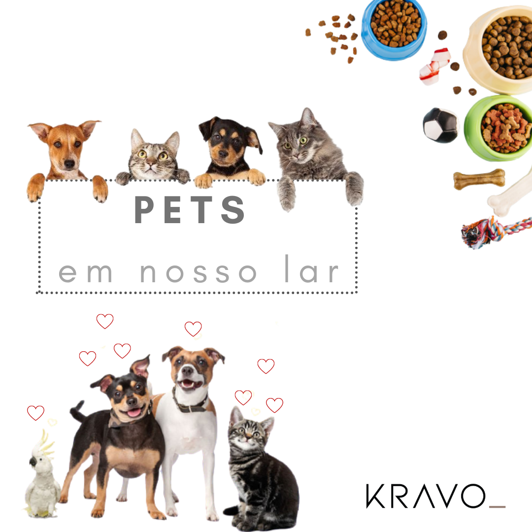 Pets em nosso lar: 5 Ideias de raças que você pode ter dentro do seu lar.