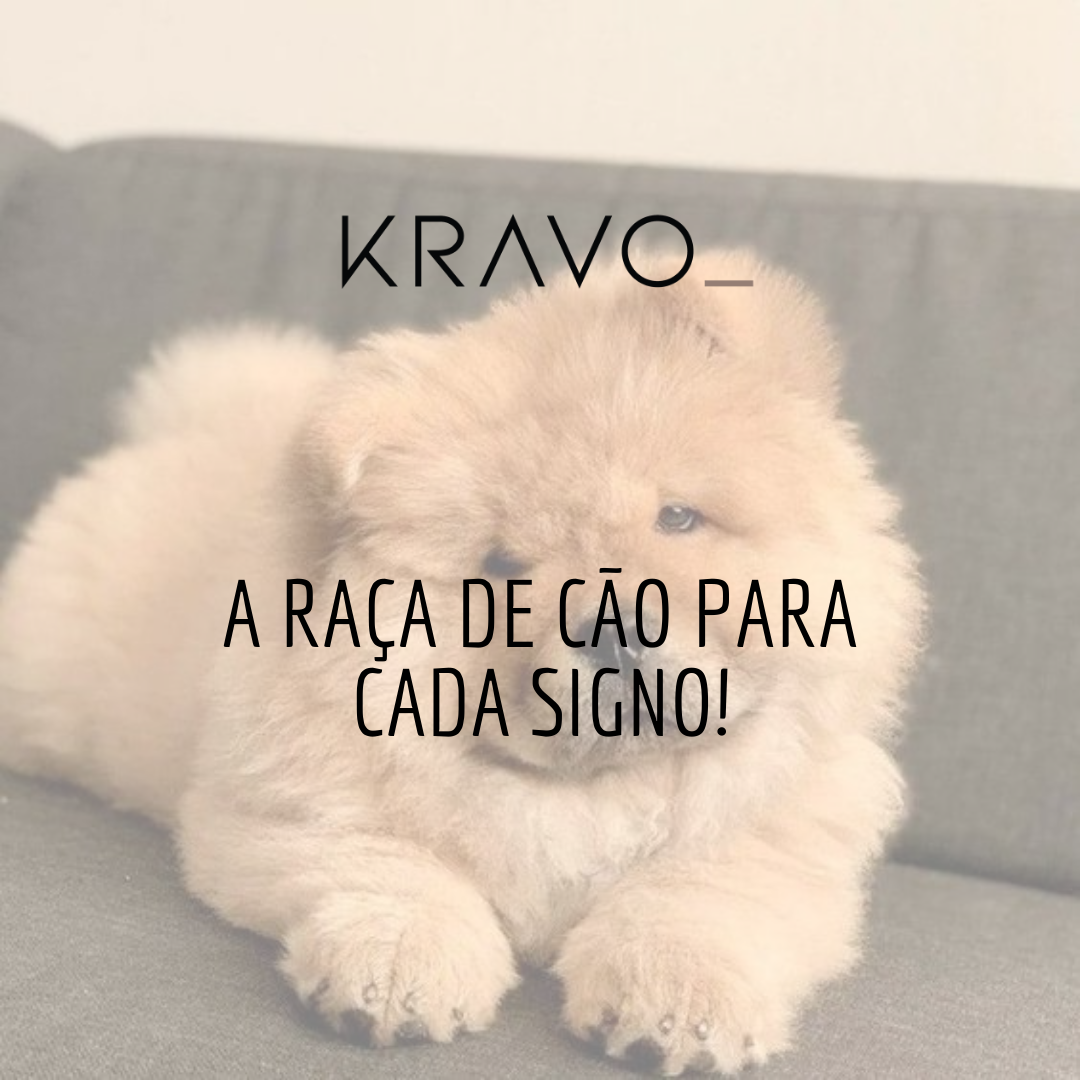 A raça de cão para cada signo!